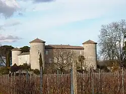 Замок де ла Сельв