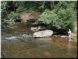 Река Чаттахучи в верхнем течении