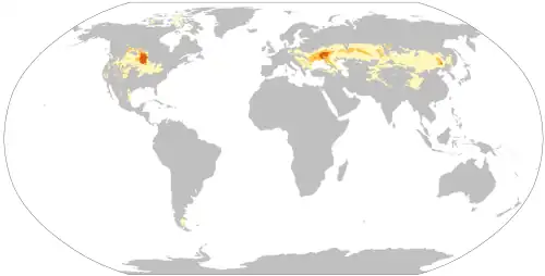 Карта распределения чернозёмов