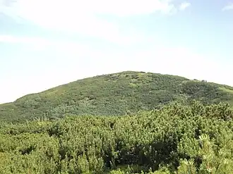 Черная Клева на переходе к Русской