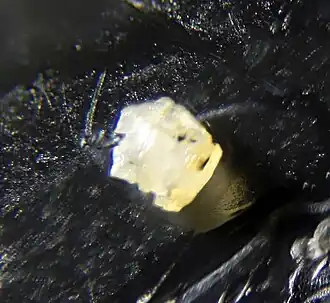 кристалл чухровита с месторождения Караоба (Казахстан)