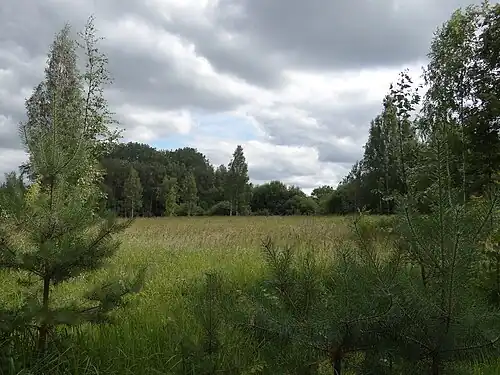 Место, где находился Шталаг 351