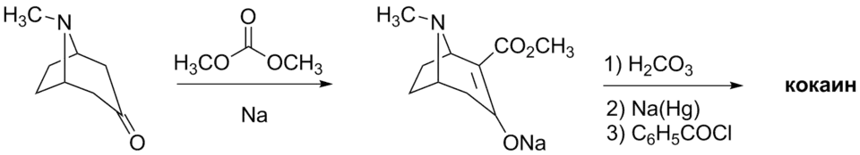 Синтез кокаина (Роберт Робинсон, 1917)