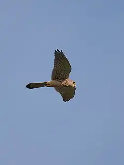 Планирование