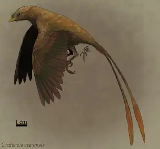 Реконструкция внешнего облика