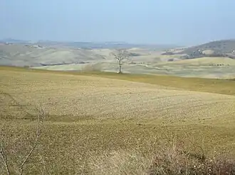 Типичный ландшафт Крете-Сенези