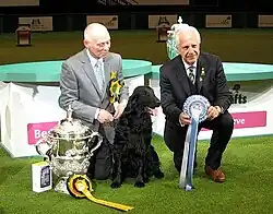 Crufts7 февраля 2016
