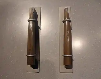 Окаменелые ростры в Филдовском музее естественной истории