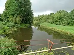Вид вниз по течению с моста через нижнее течение реки Дабикине около одноимённой деревни[лит.] в Литве летом 2015 года