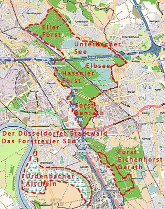 Южный участок леса, Дюссельдорф
