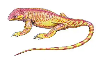 Реконструкция Datheosaurus macrourus