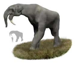 Динотерий (реконструкция)