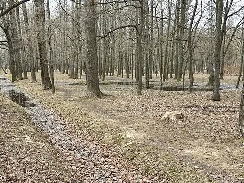 Типичный пейзаж верхней части парка (апрель 2023 г.).