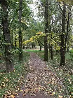 Одна из аллей ведущих в парк (октябрь 2020 г.).