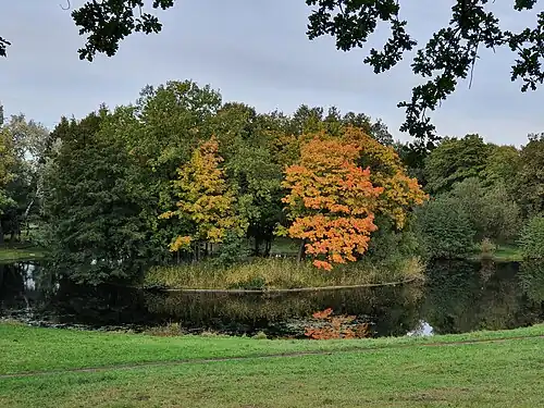 Вид с литоринового уступа на нижний пруд с островом (октябрь 2024 г.).