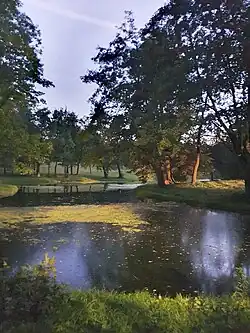 Вечер в нижнем парке. Современный вид (сентябрь 2024 г.) приблизительно с того места, с которого Иоганн Барта писал картину в XIX-ом веке.