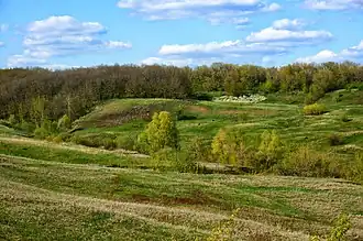 вид на памятник