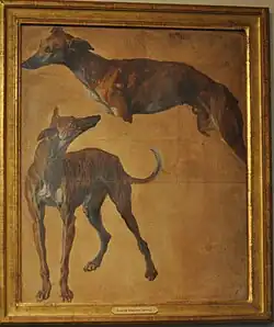 Этюд борзых. Ок. 1700. Холст, масло. Музей охоты и природы, Париж