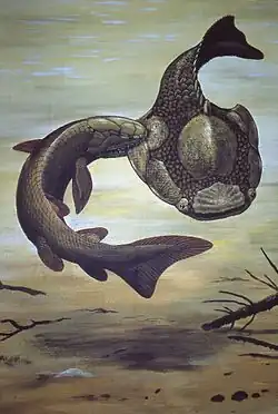 Девонская рыба Laccognathus нападает на Psammolepis