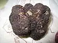 Трюфель чёрный(Tuber melanosporum)