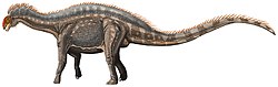Dicraeosaurus