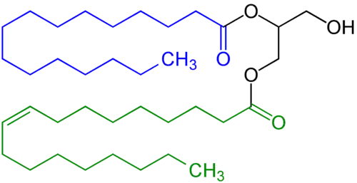 Diglyceride, in this example with a saturated fatty acid residue (highlighted blue) and a unsaturated fatty acid residue (highlighted (green).