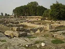 Археологическая площадка