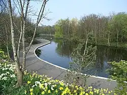 Пешеходная тропа в парке «Доддер» (Ирландия)