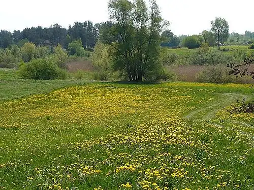 Природный парк на полуострове Доле