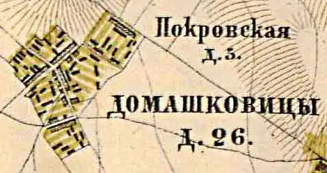 План деревни Домашковицы. 1885 год