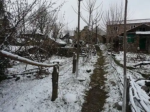 Музей «Донди-Юрт»