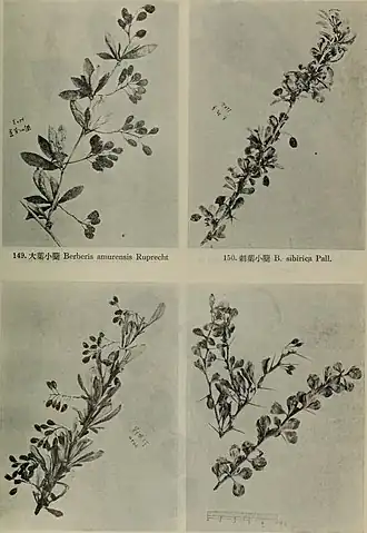 Нет доступного изображения