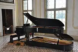 Двойной рояль фирмы Luigi Borgato