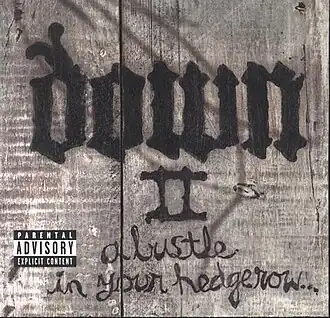 Обложка альбома Down «Down II: A Bustle in Your Hedgerow» (2002)