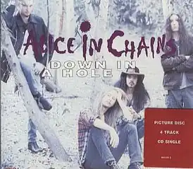 Обложка сингла Alice in Chains «Down in a Hole» (1993)