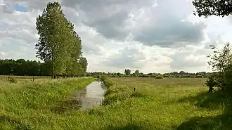 Пейзаж Дрёмлинга