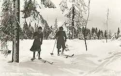 На норвежских лыжах