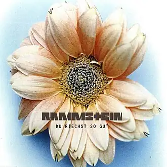 Обложка сингла Rammstein «Du riechst so&nbsp;gut» (1995)