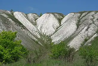 «Двуречанский»
