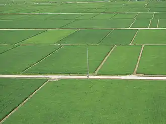 Рисовые поля на равнине Этиго