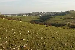 Балка у села Маловидное.