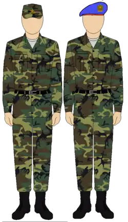 Egyptian Republican Guard camouflage uniform