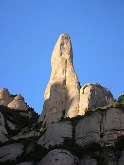 «Конь Берната»