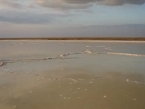 Эльтонский