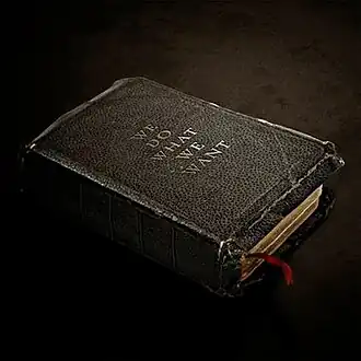 Обложка альбома Emery «We Do What We Want» ()