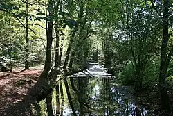 Леппе в коммуне Энгельскирхен