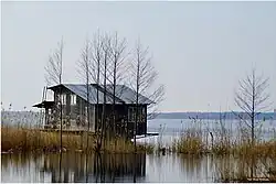 Орнитологическая станция