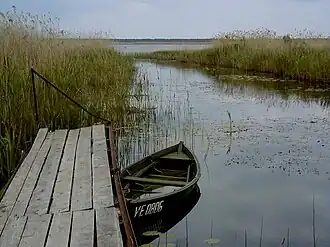 Озеро близ Дзедри