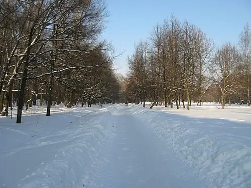 Юго-западный вход в Демидовский парк вдоль некогда существовавшей здесь Георгиевской улицы (февраль 2011 г.).