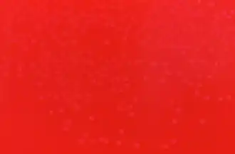 Колонии культуры Erysipelothrix rhusiopathiae на кровяном агаре